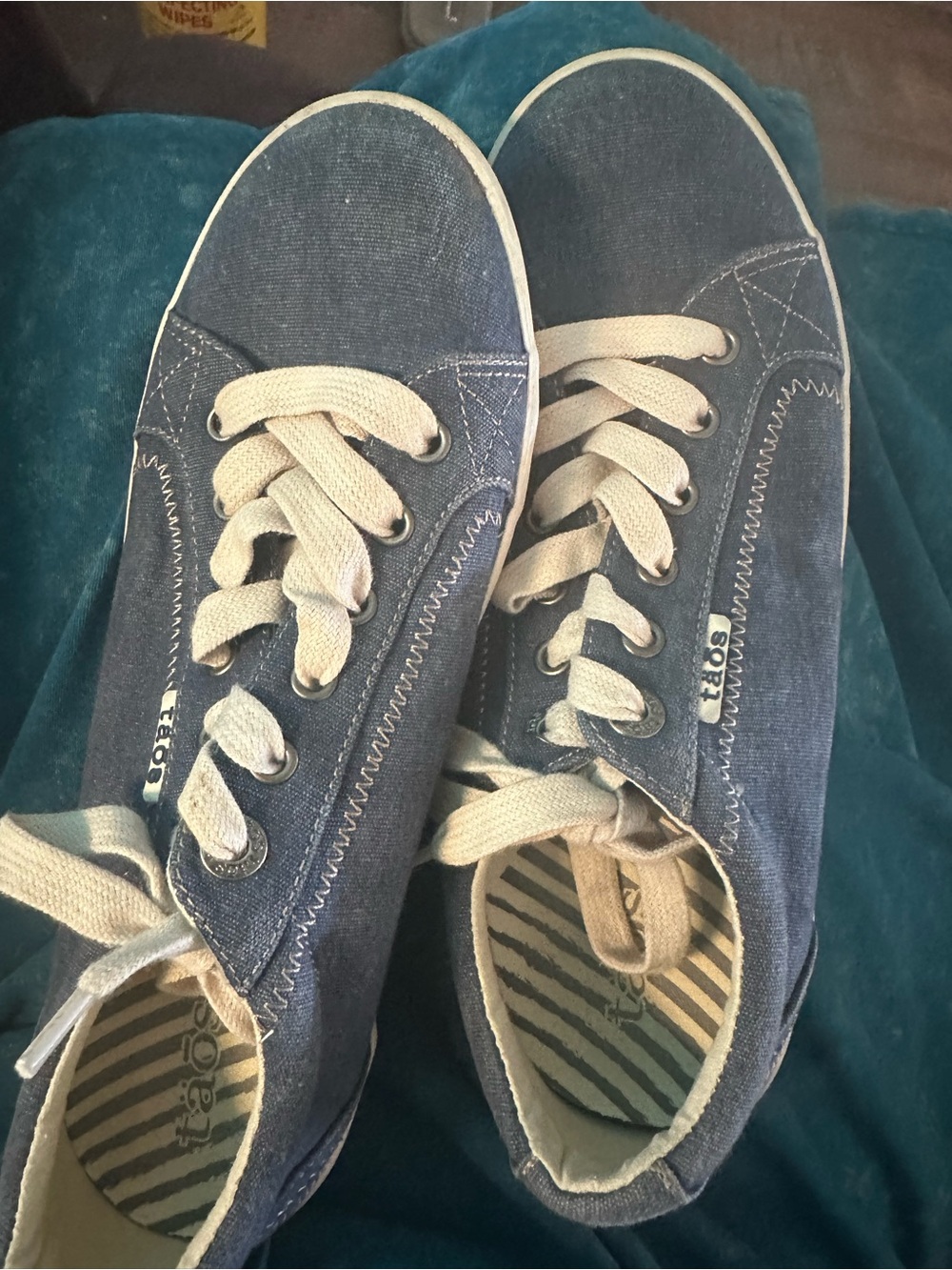 Taos Blue Canvas Lace-Up Sneakers with Cream Laces - Picture 6 of 7